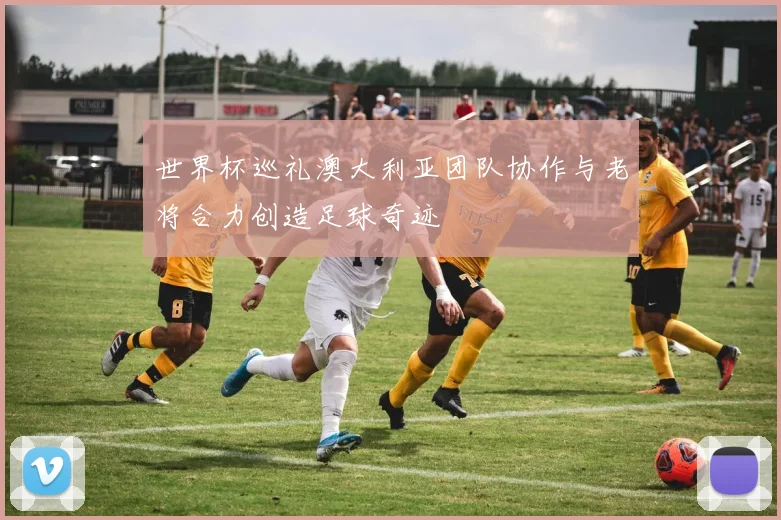 世界杯巡礼澳大利亚团队协作与老将合力创造足球奇迹